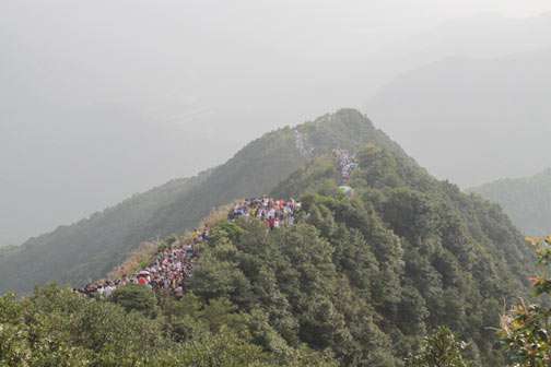 縱情山水，激蕩智慧——TANK007重陽節(jié)帶您一起登高梧桐山