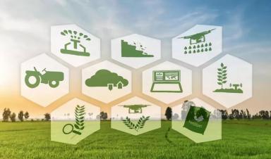 借鑒國際經驗 加快我國智慧農業發展